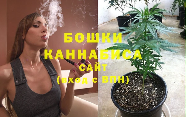 ГАЛЛЮЦИНОГЕННЫЕ ГРИБЫ Инсар