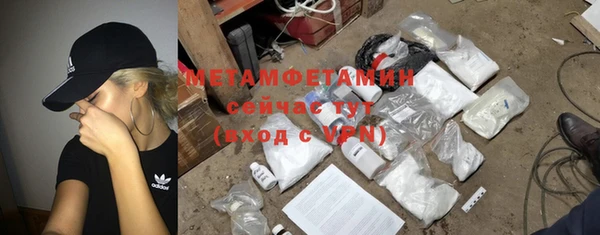 ГАЛЛЮЦИНОГЕННЫЕ ГРИБЫ Инсар