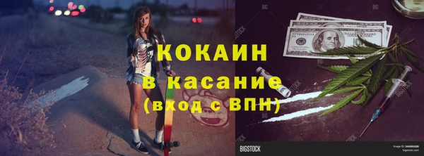 ГАЛЛЮЦИНОГЕННЫЕ ГРИБЫ Инсар