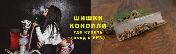 прущие грибы Иннополис
