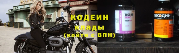 ГАЛЛЮЦИНОГЕННЫЕ ГРИБЫ Инсар