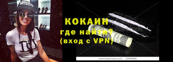 прущие грибы Иннополис