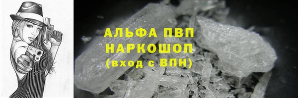 прущие грибы Иннополис