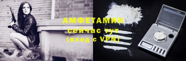 прущие грибы Иннополис