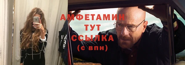 ГАЛЛЮЦИНОГЕННЫЕ ГРИБЫ Инсар