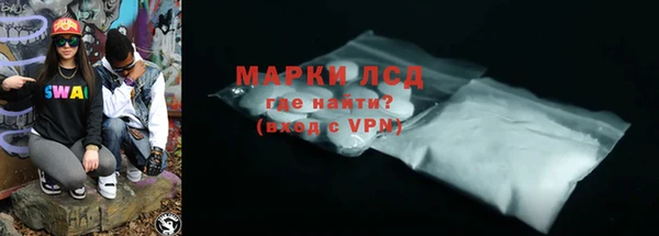 прущие грибы Иннополис