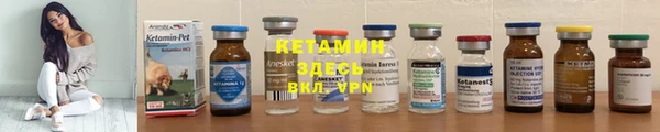 прущие грибы Иннополис