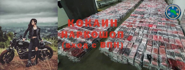 ГАЛЛЮЦИНОГЕННЫЕ ГРИБЫ Инсар