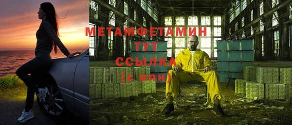 прущие грибы Иннополис
