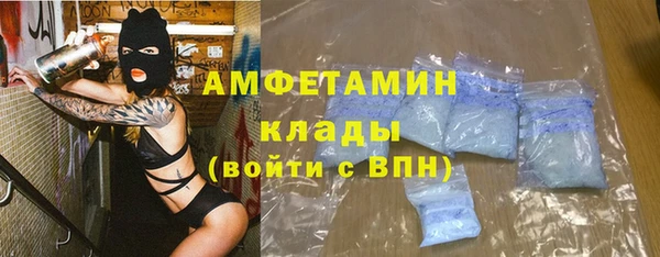 прущие грибы Иннополис