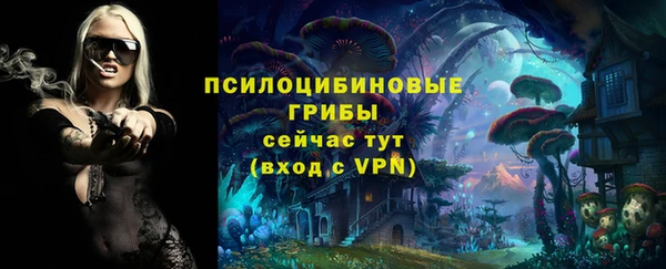 не бодяженный Инта