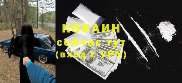 ГАЛЛЮЦИНОГЕННЫЕ ГРИБЫ Инсар